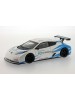 2011 NISSAN Leaf Nismo RC - White/Blue
