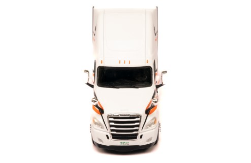 FREIGHTLINER Cascadia 2018 White 