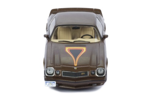 CHEVROLET CAMARO Z28 1977 Brown
