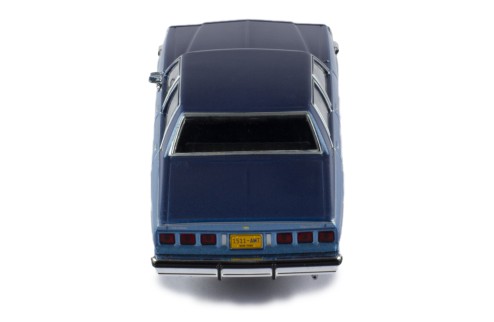 CHEVROLET CAPRICE 1981 Light Blue