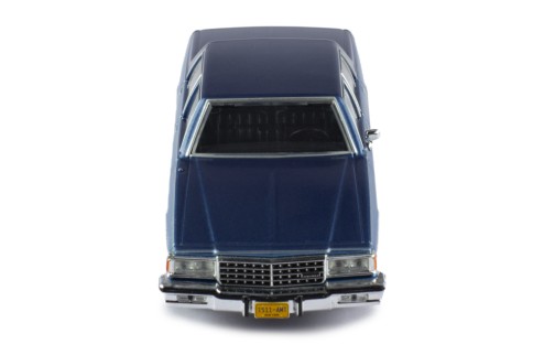 CHEVROLET CAPRICE 1981 Light Blue