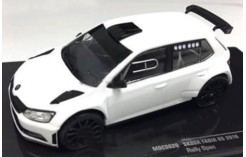 SKODA FABIA R5 2016 - All white (2 set of wheels and tyres) SKODA FABIA R5 2016 - All white (2 set of wheels and tyres)