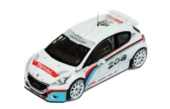 Peugeot 208 T16 R5 P.Andreucci Test Car 2013