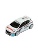 Peugeot 208 T16 R5 P.Andreucci Test Car 2013