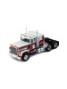 INTERNATIONAL TRANSTAR 4300 1980 White with stripes 