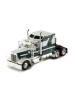 KENWORTH W900 1990 White and Green 