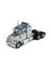 FREIGHTLINER Coronado 2008 Silver and Green